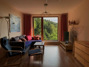 Apartmán Švadlenka, Rokytnice Nad Jizerou